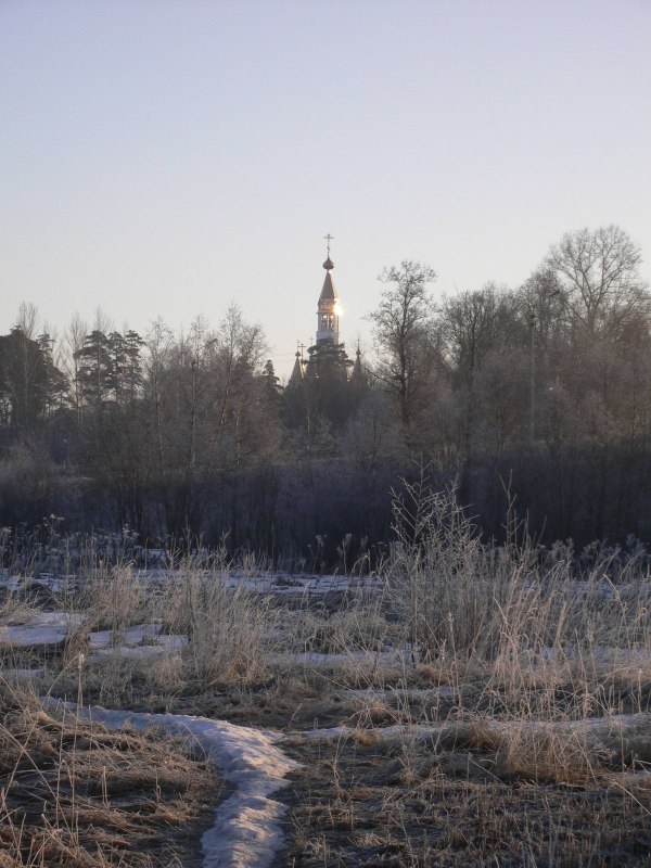    8  2006 .